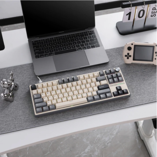 Royal Kludge R87Pro TKL Wired mode RGB  Hot swap Gaming Keyboard