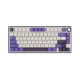 Royal Kludge RK R75 RGB Hot-Swappable Blackberry Switch Mechanical Keyboard